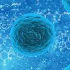 Stem Cell Benefits in 2026